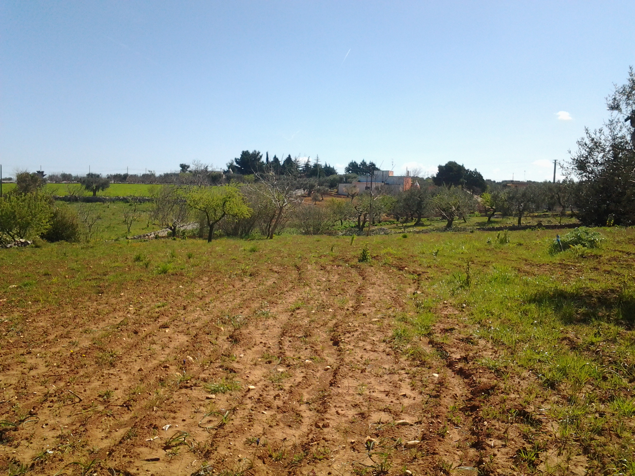 Tra Conversano e Putignano Trullo Con Annesso Deposito e Terreno
